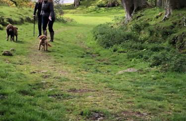 Shepherds Hut With Hot Tub, North Wales, Anglesey - Foto 23