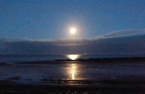 Powillimount Cottage - Foto 8