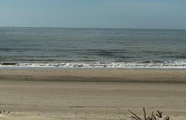 Le Petit Studio de Merlimont - Foto 26