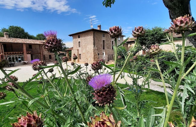 Agriturismo Corte Davini - Foto 71