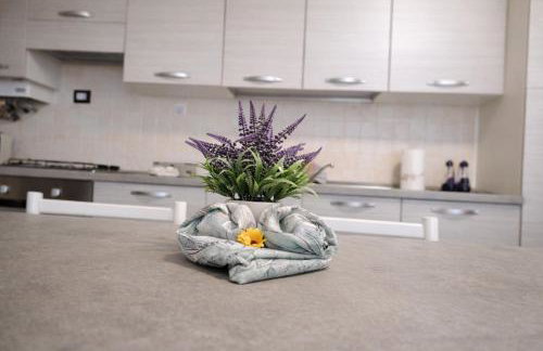 Antelao appartament Dolomiti piano terra - Foto 6