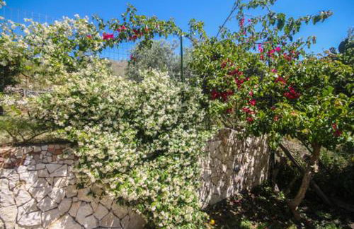 Il Melicucco - Foto 43