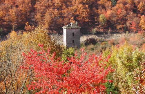Gîte de la Chatiere - Foto 15