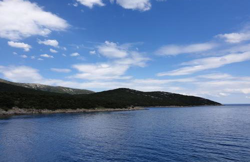 Apartments Stella Apsyrtides - Foto 45