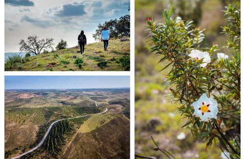 Recanto d'Aldeia - Foto 22