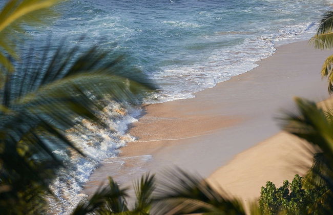 Kambura Villa - Photo 69