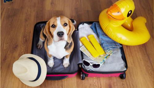 FeHa Windspiel - Foto 2