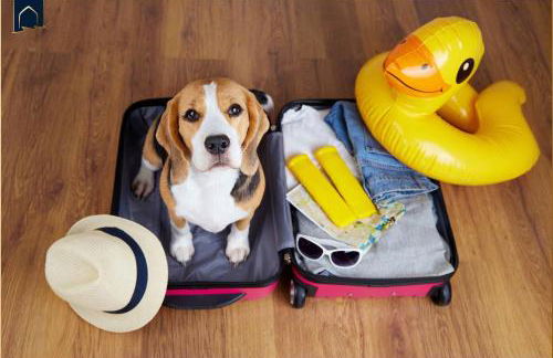 FH "zur blauen Möwe" - Foto 34