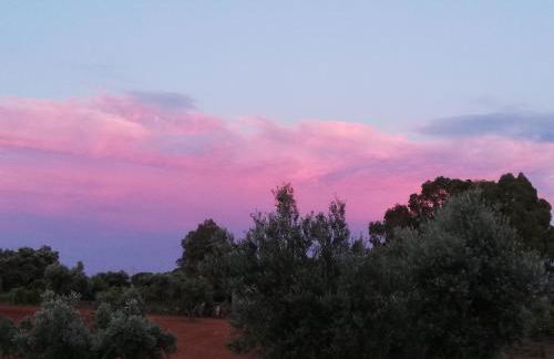 Burrico D`Orada - Rural Stays & Wine Country Tours - Foto 69