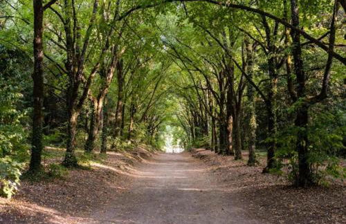 Clos du Bannet Family Escape - Foto 24