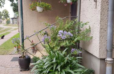 Ferienwohnung Siebmann - Foto 1