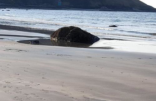 Cosy Cottage overlooking the Teifi Gorge - Foto 41