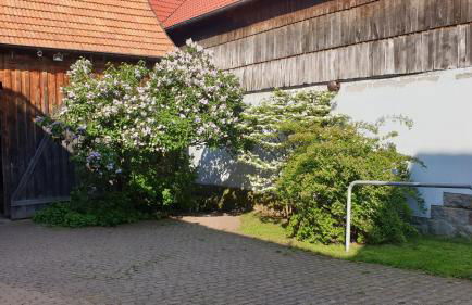 Studio Kaline - Foto 23