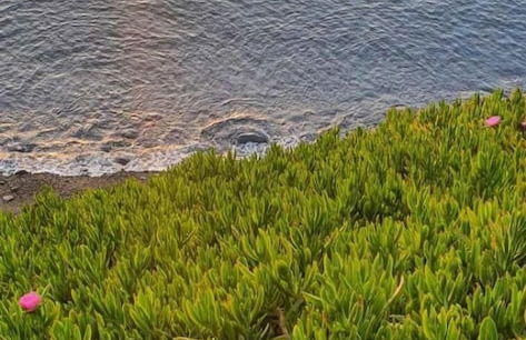 Sun Camero Apartments - Photo 39