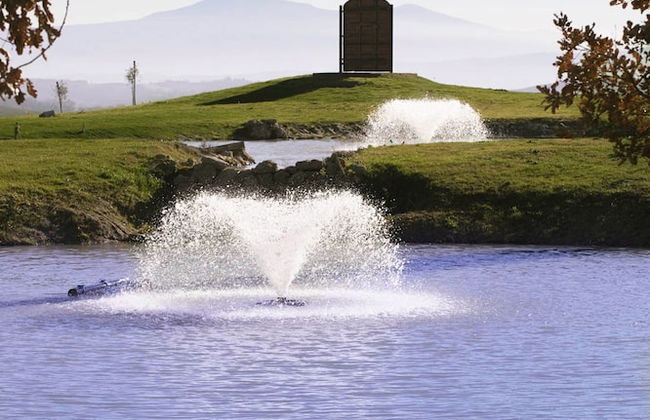 Tenuta d'Arbia - Foto 44