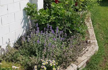 Reitanlage Duffner - Foto 26