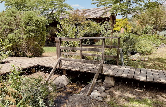 Nofey Habashan - Foto 74