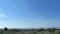 Ulivi e Mare - Foto 5