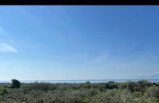 Ulivi e Mare - Foto 5