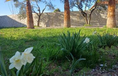 Bella Gaia - Foto 24