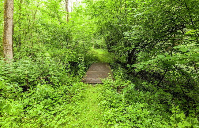 Cottage Near Durbuy Forest - Foto 36