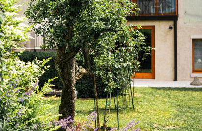 La Casa del Ciliegio - Foto 12