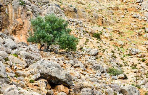 Livaniana Panoramic View House 1 - Foto 22