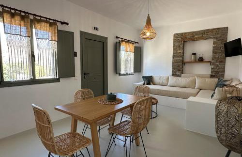 Ammos Andros Accommodation - Photo 29