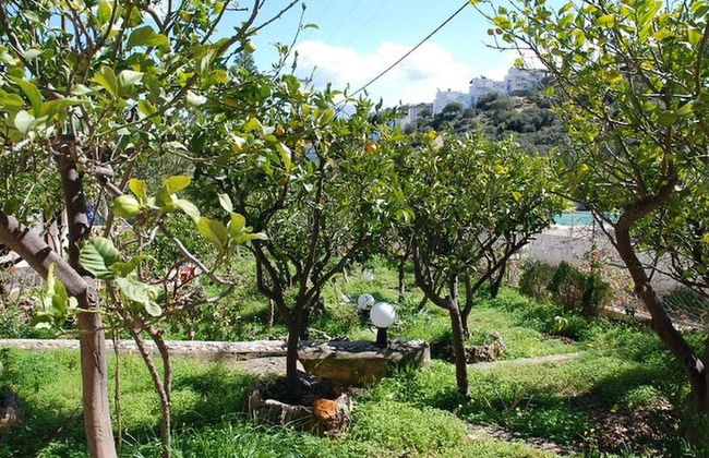 Quiet Place With Efflorescent Garden - Foto 14