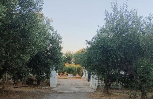 Maki'shouse - Foto 15