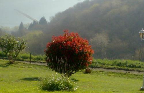 Schau-Rhein#2 - on Top of Bacharach, Rhineview - Photo 24