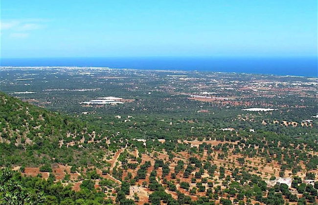 Casa Vacanze Minare Selva di Fasano - Foto 27