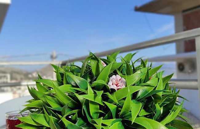 Villa Baka - Foto 28