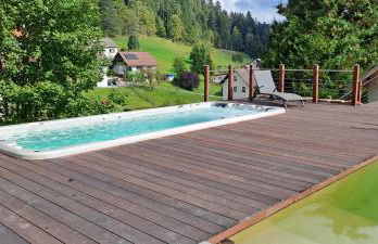 Ferienhaus Enzquelle - Foto 60