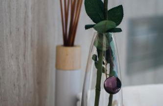 Amais Ofir Heart and Amais Ofir Soul - Twin Vilas - Photo 13