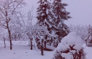 Kuća za odmor Tina - Foto 40