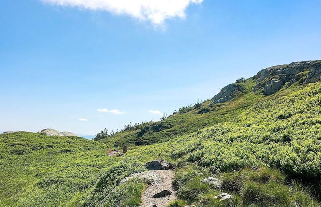 51 Person Holiday Home in BOE Telemark - Photo 28