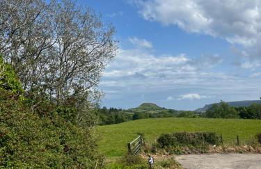 Tavnaghoney Cottages - Foto 12