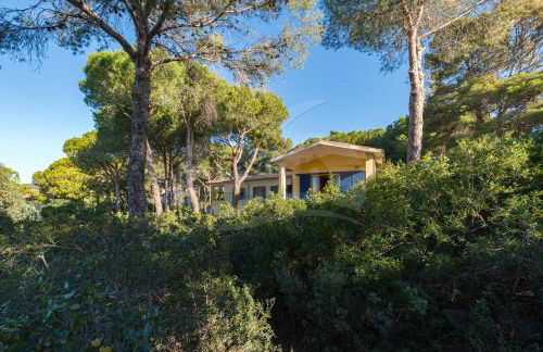 Villa Madonna delle Grazie con accesso privato al mare - Goelba - Foto 55