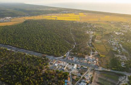 Villa Laranjeiras with heatable pool, Comporta - Foto 44