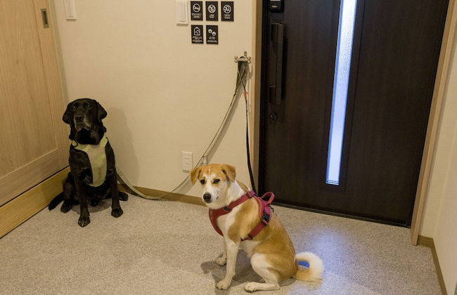 Rakuten STAY Nikko Hoden - Photo 39