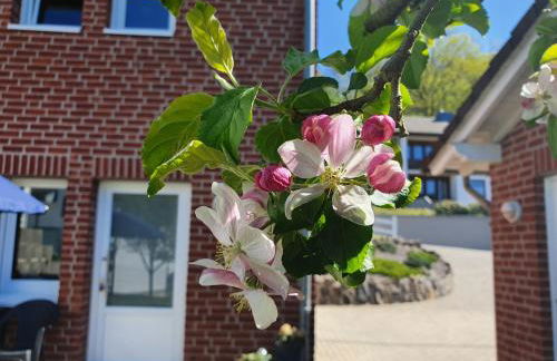 Ferienwohnung Neustadt-Wied - Foto 22