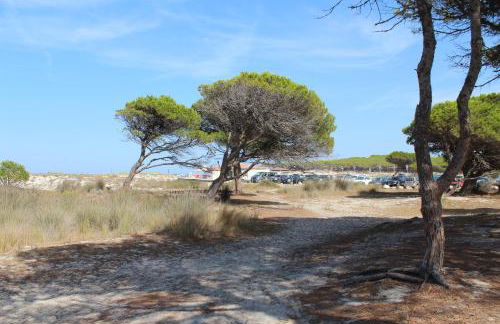 Casa Vancanze Budoni - Foto 21