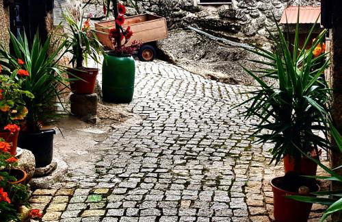 Casa Bento Teixeira - Foto 6