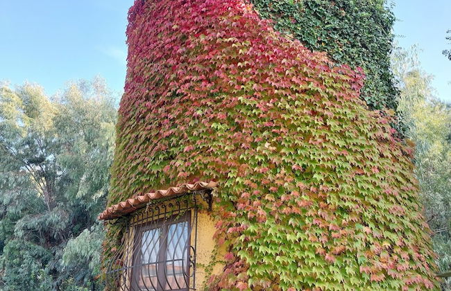 Agriturismo La Petrosa - Foto 79