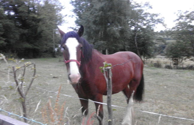 Birchdale Apartment - Photo 18