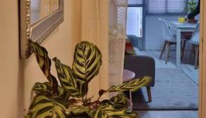 Apartamento La Ínsula (3 habitaciones) - Foto 2