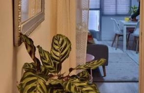 Apartamento La Ínsula (3 habitaciones) - Foto 2