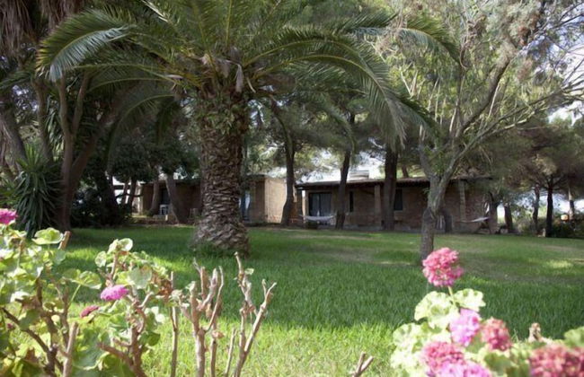 Tenuta Terenzano - Photo 35