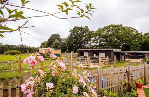 Blackberry Annex. Detached cottage. Rural location - Foto 33